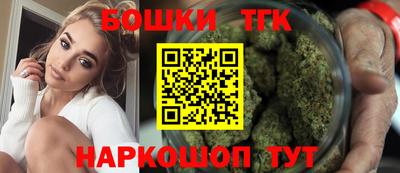 индика Конаково
