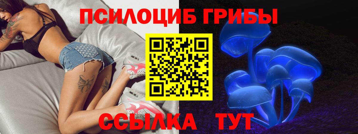 Псилоцибиновые грибы мицелий Канаш